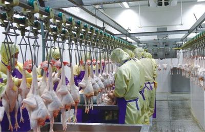 扶貧產業巡禮之六 廣西興業——深加工賦能，擘畫鄉村振興新藍圖