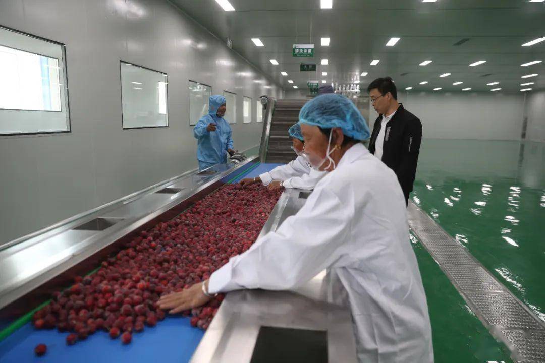 清水河縣 以綠色農產品加工產業園為引擎，譜寫鄉村產業振興新篇章