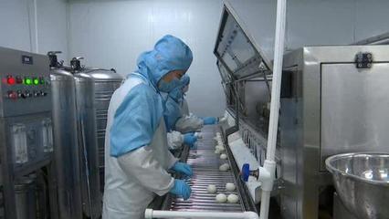 海門農業龍頭企業100%復工，農產品加工跑出“加速度”